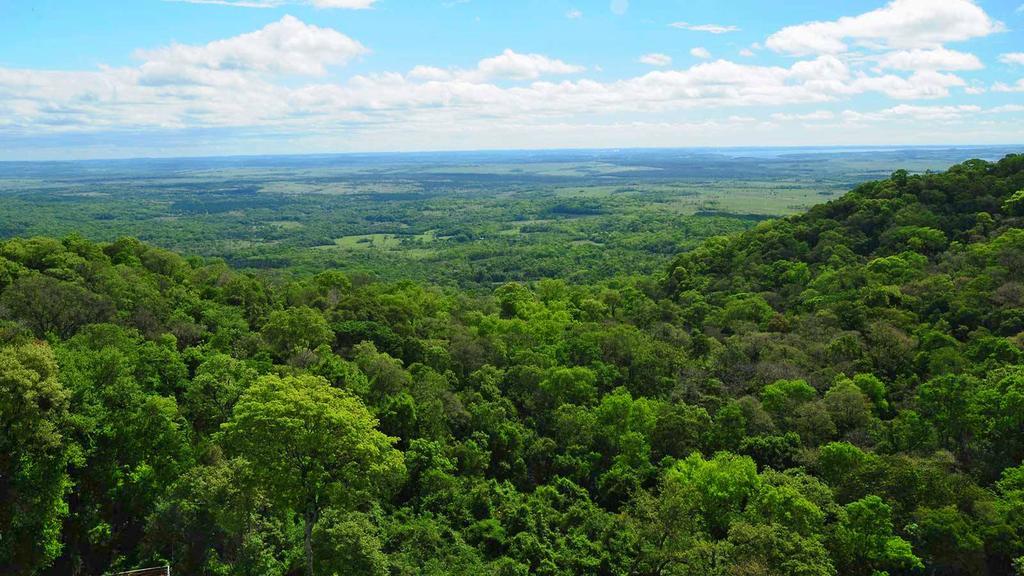 פוארטו איגואסו Posada Del Chaman Iguazu מראה חיצוני תמונה