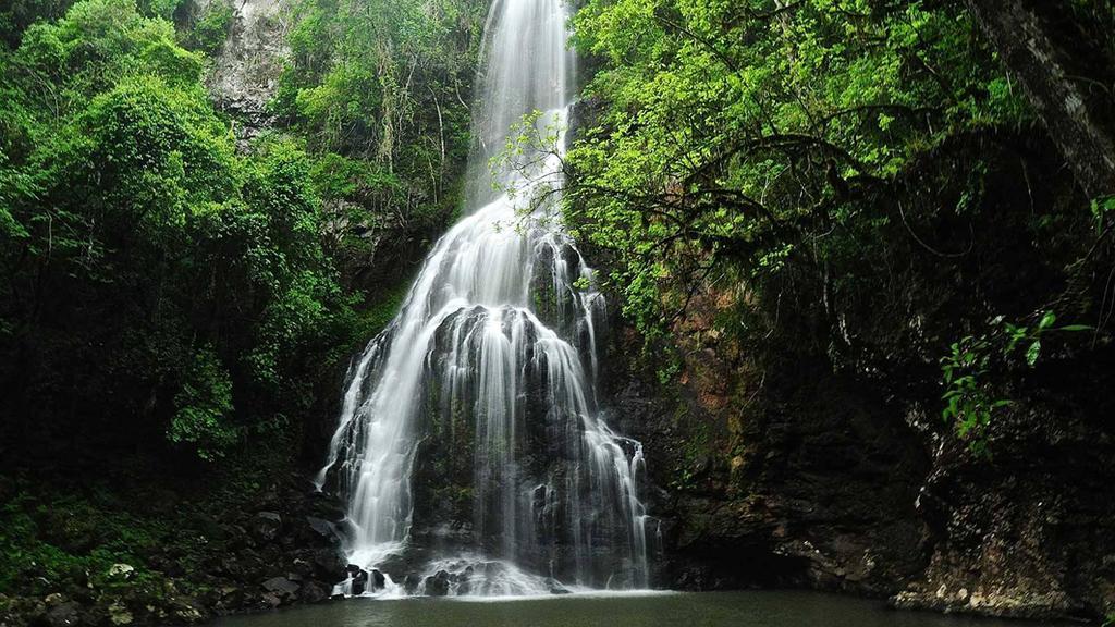 פוארטו איגואסו Posada Del Chaman Iguazu מראה חיצוני תמונה
